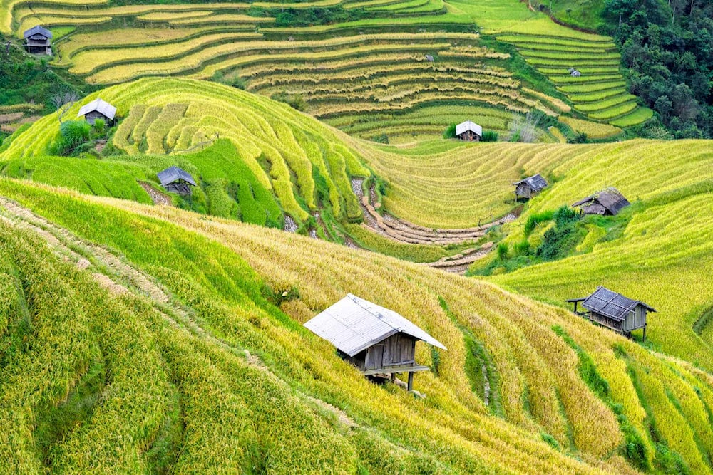 The breathtaking beauty of Mai Chau Valley 